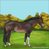 Horse Color:Brown Tobiano Rabicano 