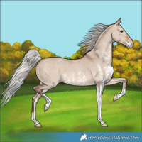 Horse Color:Silver Bay Dun Sabino 