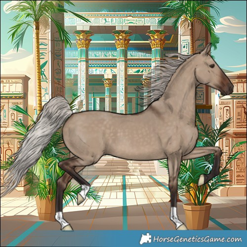 Horse Color:Silver Brown Dun 