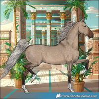 Horse Color:Silver Brown Dun 