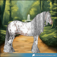 Horse Color:White Spotted Brown Appaloosa 