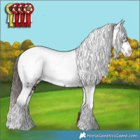 Horse Color:Liver Chestnut Sabino Appaloosa 