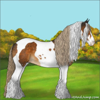 Horse Color:Chocolate Palomino Sabino Tobiano