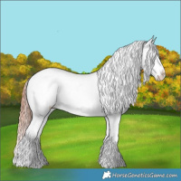 Horse Color:White Spotted Liver Red Dun Appaloosa 