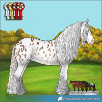 Horse Color:Chocolate Palomino Sabino Appaloosa Rabicano 