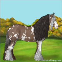 Horse Color:White Spotted Liver Red Dun Sabino 