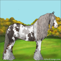 Horse Color:White Spotted Liver Chestnut Sabino Rabicano 