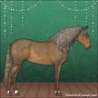 Horse Color:Chocolate Palomino Roan 