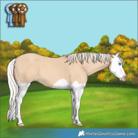 Horse Color:Silver Classic Champagne Dun Splash 