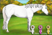 Horse Color:Silver Amber Champagne Dun Splash Tobiano Varnish Rabicano 