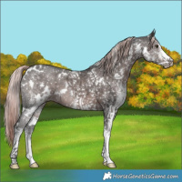 Horse Color:Platinum White Spotted Liver Chestnut 