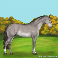 Horse Color:Platinum White Spotted Liver Red Dun Rabicano 