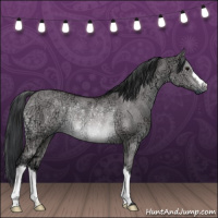 Horse Color:Platinum Brown Ice Dun Rabicano 
