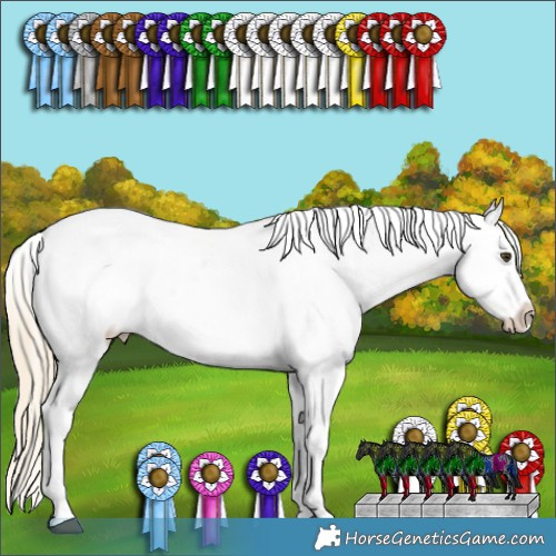 Horse Color:Palomino Ice Roan Dun Splash Tobiano Frame Appaloosa Rabicano  and Palomino Ice Roan Dun Sabino Splash Frame Appaloosa Rabicano 