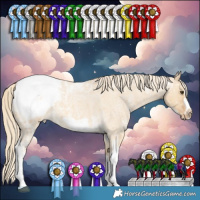 Horse Color:Palomino Ice Roan Dun Splash Tobiano Frame Snowcap Rabicano  and Palomino Ice Roan Dun Sabino Splash Frame Snowcap Rabicano 