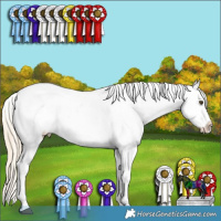 Horse Color:Palomino Ice Roan Dun Splash Tobiano Frame Appaloosa Rabicano  and Palomino Ice Roan Dun Sabino Splash Frame Appaloosa Rabicano 