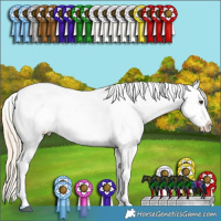 Horse Color:Palomino Ice Roan Dun Splash Tobiano Frame Snowcap Rabicano  and Palomino Ice Roan Dun Sabino Splash Frame Snowcap Rabicano 