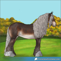 Horse Color:Silver Brown 