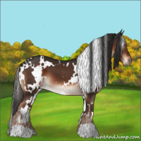 Horse Color:White Spotted Liver Chestnut 