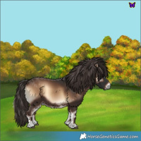 Horse Color:Liver Red Onyx 