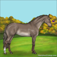 Horse Color:Liver Red Dun Mushroom 