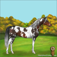Horse Color:White Spotted Brown Tobiano 