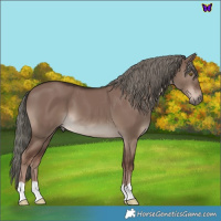 Horse Color:Liver Red Dun Mushroom 