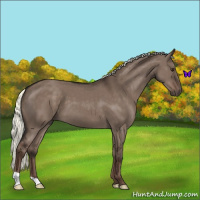 Horse Color:Liver Red Dun Mushroom 