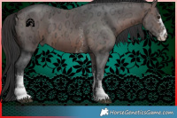 Horse Color:Brown Ice Sabino