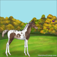 Horse Color:Liver Chestnut Tobiano 