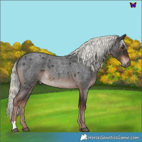 Horse Color:Liver Red Roan Mushroom 
