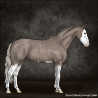 Horse Color:Silver Blue Roan Sabino Splash 
