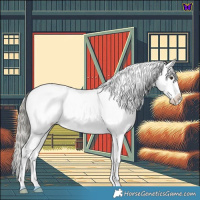 Horse Color:Liver Chestnut Mushroom Near Leopard 