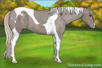 Horse Color:Silver Grullo Tobiano Varnish