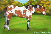 Horse Color:White Spotted Bay Varnish 