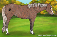 Horse Color:Silver Bay Ice Roan Sabino 