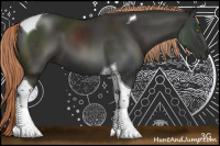 Horse Color:Liver Chestnut Sabino Tobiano 