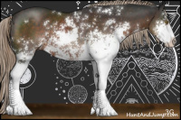 Horse Color:Liver Chestnut Sabino 