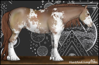 Horse Color:Liver Chestnut Sabino Rabicano 
