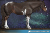 Horse Color:Liver Chestnut Tobiano 
