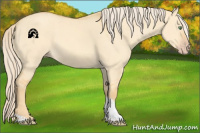 Horse Color:Gold Cream Champagne Dun Tobiano 
