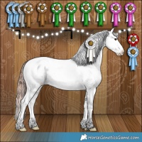 Horse Color:Liver Red Dun Appaloosa Brindle 