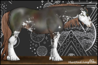 Horse Color:Liver Chestnut Sabino 