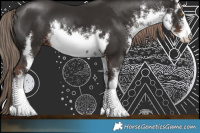 Horse Color:White Spotted Liver Chestnut 
