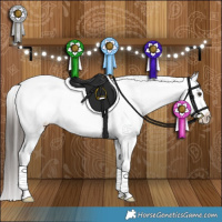 Horse Color:Liver Red Dun Appaloosa Brindle 