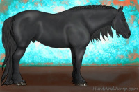 Horse Color:Black 