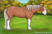 Horse Color:Silver Bay Roan Splash 