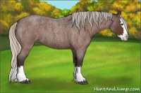 Horse Color:Silver Brown Roan Splash 