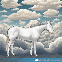 Horse Color:Brown Pearl Tobiano Appaloosa Rabicano and Buckskin Appaloosa