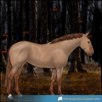 Horse Color:Red Dun 